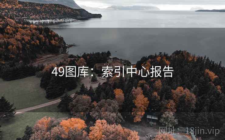 49图库：索引中心报告